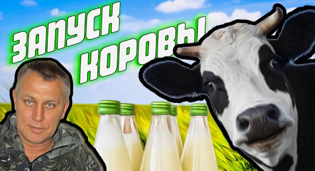 Запуск коровы